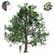 Vivid Broadleaf Tree: Realistic & Detailed 3D model small image 1