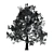 Vivid Broadleaf Tree: Realistic & Detailed 3D model small image 3