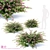 Snowberry Dorenbose Bush | Symphoricarpos doorenbosii 3D model small image 1