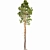  Majestic Pine Tree 14.6m 3D model small image 2