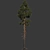  Majestic Pine Tree 14.6m 3D model small image 3