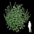 Curved Wall Ivy Creeper 3D model small image 1