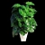 Tropical Majesty: Monstera Deliciosa 3D model small image 2