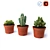 Spike Succulent: Low-maintenance Cactus 3D model small image 1