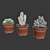 Spike Succulent: Low-maintenance Cactus 3D model small image 3