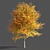 Elegant Tulip Tree Sculpture 3D model small image 1