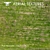 Aerial Grass Texture 3D model small image 3