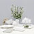 Elegant Emma Dinnerware Set 3D model small image 1