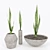 Title: Concrete Pot Green Sansevieria 3D model small image 1