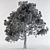 8 Colorful Leaves Broadleaf Tree 3D model small image 3