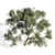 Elegant Eucalyptus 6: Stylish 3D Model 3D model small image 2