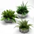 Title: Lush Landscape: Plants in Pots 3D model small image 1