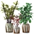 Exotic Leafy Beauties 3D model small image 2