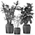 Exotic Leafy Beauties 3D model small image 3