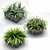 Greening your space: Plants in Flower Pots 3D model small image 1