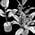 Tropical Kanna Plant Collection 3D model small image 3