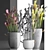 Exotic Sarracenia Plant Collection 3D model small image 3