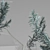 Curry Plant Branches in Vases 3D model small image 2