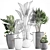 Exotic Houseplant Collection 3D model small image 3