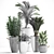 Exotic Houseplant Collection 3D model small image 3