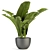 Exotic Greenery in Concrete Pot 3D model small image 1