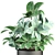 Tropical Exotic Plant in Flowerpot 3D model small image 2