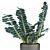 Exotic Greenery in Elegant Pot 3D model small image 2