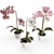 Elegant Orchid Collection: 3D Flowers 3D model small image 1