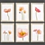 Modern Poppy Art Set: Collection №223 3D model small image 2