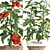 Title: Exotic Tomato - Indoor Plant Collection 3D model small image 2