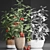 Title: Exotic Tomato - Indoor Plant Collection 3D model small image 3