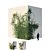 Evergreen Ivy Wall 3D model small image 1