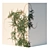 Evergreen Ivy Wall 3D model small image 2