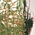 Evergreen Ivy Wall 3D model small image 3