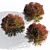 Elegant Melaleuca Claret Tops 3D model small image 1