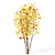 European Maple Tree for Sale 3D model small image 3