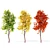 European Maple Tree - Acer Campestre 3D model small image 1