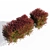 Melaleuca Claret Tops: Elegant and Synchronized 3D model small image 2