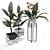 Lush Canna Plant Duo 3D model small image 1