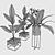 Lush Canna Plant Duo 3D model small image 3