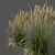 Realistic 3D Feather Reed Grass 3D model small image 2