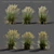 Realistic Feather Reed Grass Models 3D model small image 1