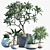 Tropical Oasis Planter: Plumeria, Bamboo Palm, and More! 3D model small image 1