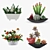 Green Oasis: 4 Potted Houseplants Set 3D model small image 1