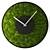 MossTime: Stabilized Moss Watch 3D model small image 2