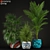 199 Plants Collection: Lush and Vibrant Greenery 3D model small image 1