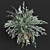 Elegant Eucalyptus Vase 3D model small image 2
