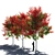 Premium Maple 5-Dimensional 3D Objects 3D model small image 2