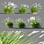 Compact Pennisetum Setaceum Grass 3D model small image 1