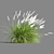 Compact Pennisetum Setaceum Grass 3D model small image 4